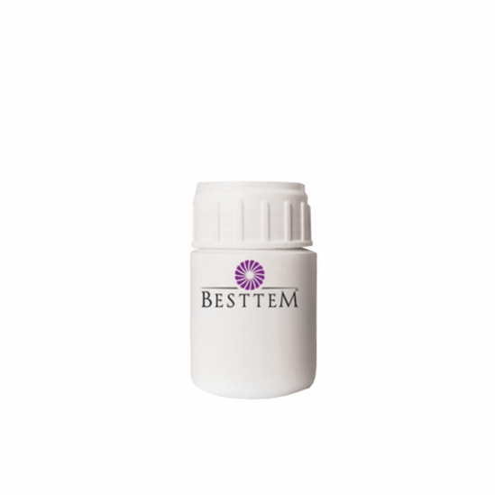 Besttem Tester Aparatı-50cc